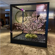 八芳園の画像｜建物の入り口から桜を使った飾り付けて華やかさを演出していました。