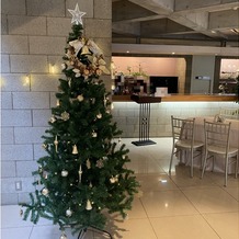 ＳＴＯＮＥ　ＦＯＲＥＳＴ（ストーン フォレスト）の画像｜クリスマスツリー