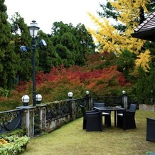 SHOZAN &amp;nbsp;RESORT &amp;nbsp;KYOTO（しょうざんリゾート京都）の画像｜秋だったので紅葉の葉も綺麗に色づき、映えてました