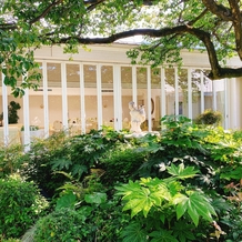 アンジュ・デ・ラヴィの画像｜お庭から見える披露宴会場