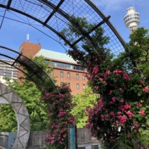 ホテル　メルパルク横浜の画像｜当日早朝の建物外観です！山下公園の目の前、バラ全開でした！