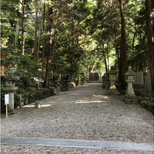 枚岡神社の画像｜拝殿横の参道です。緑が生い茂っていて素敵な写真が撮れました。