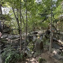 アカガネリゾート京都東山　（AKAGANE RESORT KYOTO HIGASHIYAMA）の画像｜お庭が綺麗でした