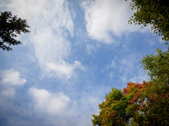 ニューアート・エレガンス　●ホテル軽井沢エレガンス：ふと見上げれば吸い込まれそうな程澄んだ青空。