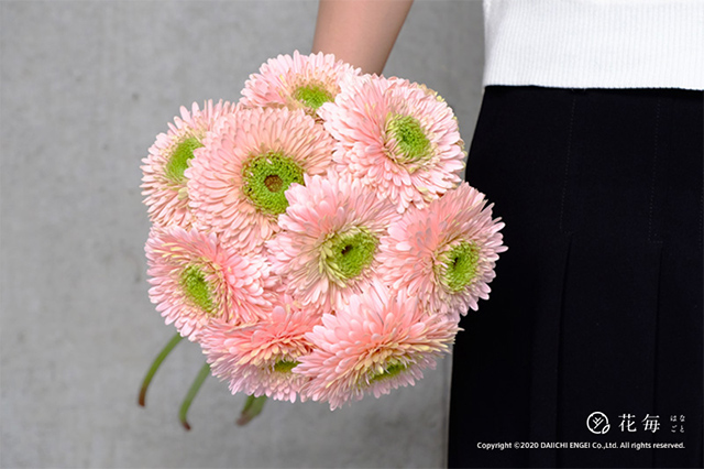 感謝を伝える花言葉16選 花束でありがとうを伝えよう セキララ ゼクシィ Goo ニュース