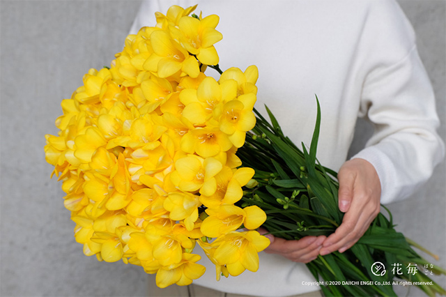 感謝を伝える花言葉16選 花束でありがとうを伝えよう セキララ ゼクシィ Goo ニュース