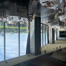 ＬＵＣＩＳ（ルーキス）の画像