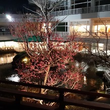 ロイヤルガーデンパレス 柏 日本閣の画像｜夜の庭園
