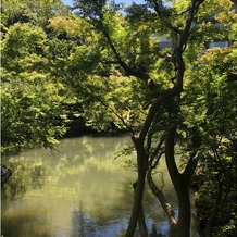 八芳園の画像｜庭