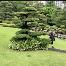 八芳園の画像｜広いお庭