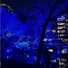 八芳園の画像｜庭園冬季のライトアップ