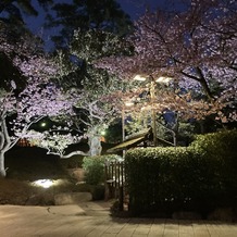 八芳園の画像｜ピンクや青にライトアップされることがあるそうです