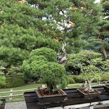 八芳園の画像