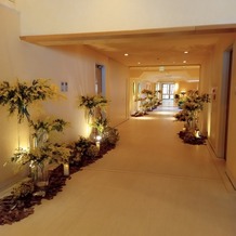 星野リゾート　軽井沢ホテルブレストンコートの画像｜披露宴に行くまでの通路です。ミモザの花でいっぱいで、綺麗でした！