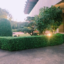 ホテルニューオータニの画像｜日本庭園