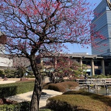 ホテルニューオータニの画像｜庭園
2月半ばには梅が満開でとても芳しい