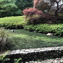 シェラトン都ホテル東京の画像｜マグノリア会食会場からの庭