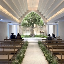 ザ コンチネンタル横浜の画像｜オリーブの木２