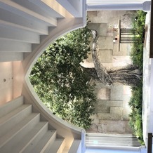 ザ　コンチネンタル横浜／大さん橋の画像