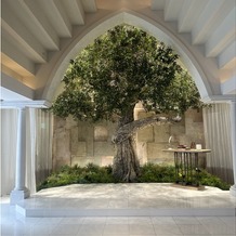 ザ コンチネンタル横浜の画像｜シンボルツリーのオリーブの木