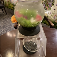 ザ クラブ オブ エクセレント コースト（The Club of EXCELLENT COAST）の画像