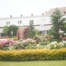 シェラトン・グランデ・トーキョーベイ・ホテルの画像｜庭園