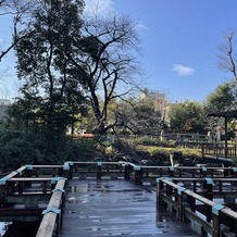 東郷神社／東郷記念館の画像