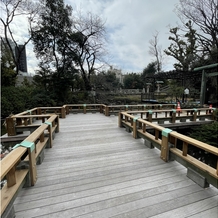 東郷神社／東郷記念館の画像