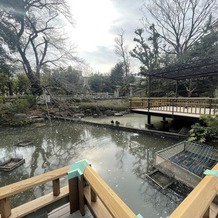 東郷神社／東郷記念館の画像｜庭園