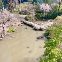 東郷神社／東郷記念館の画像