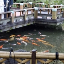 東郷神社／東郷記念館の画像｜庭園の橋と池とコイです。