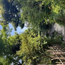 東郷神社／東郷記念館の画像