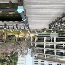 東郷神社／東郷記念館の画像