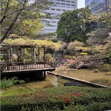 東郷神社／東郷記念館の画像｜参進の儀を行う場所