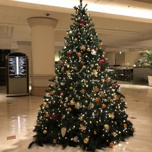 ヨコハマ グランド インターコンチネンタル ホテルの画像｜エントランスのクリスマスツリー
