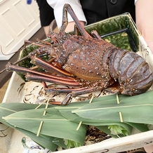 マリエカリヨン名古屋の画像｜料理に使われた伊勢エビ