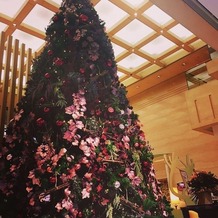 ホテルグランドヒル市ヶ谷の画像｜見学に行った際のロビーの大きなツリーです。クリスマスシーズンになると飾られるとのこと。