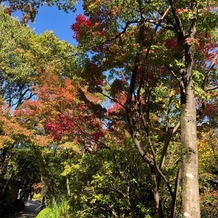 ザ ソウドウ ヒガシヤマ キョウト(THE SODOH HIGASHIYAMA KYOTO)の画像｜通りの道です。ここが式場の中に居るなんて信じられないくらいでした。