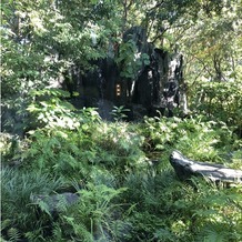 ザ ソウドウ ヒガシヤマ キョウト(THE SODOH HIGASHIYAMA KYOTO)の画像｜庭園内。当日は工事が入っていました。