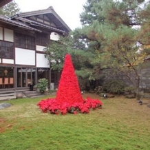 五十嵐邸ガーデン（ＴＨＥ　ＧＡＲＤＥＮ　ＨＯＵＳＥ　ＩＫＡＲＡＳＨＩ）の画像｜クリスマスツリー