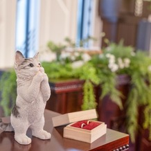 フェリスクレールの画像｜我が家の猫も参加した結婚式