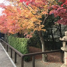 川原町倶楽部　ラ・ルーナ　ピエーナの画像