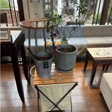 クオーリ　クオーリの画像