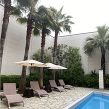 The Palm Garden（ザ・パームガーデン）の画像