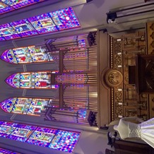 プリムローズの画像