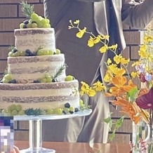 アマンダンテラス（ＡＭＡＮＤＡＮ　ＴＥＲＲＡＣＥ）の画像｜シャインマスカットケーキ