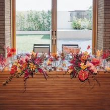 アマンダンテラス（ＡＭＡＮＤＡＮ　ＴＥＲＲＡＣＥ）の画像｜花