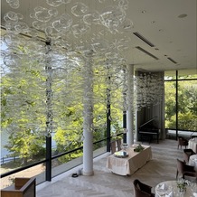 IRIS WATER TERRACE AYAMEIKEの画像