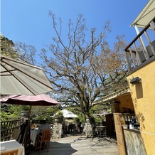 THE HILLTOP TERRACE NARA（ザ・ヒルトップテラス奈良）の画像