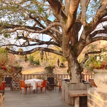 THE HILLTOP TERRACE NARA（ザ・ヒルトップテラス奈良）の画像